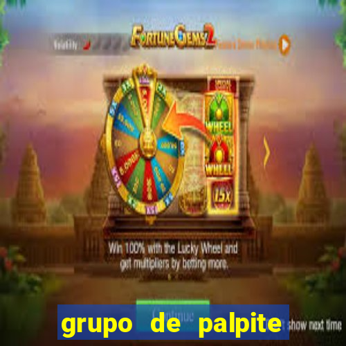 grupo de palpite de futebol telegram